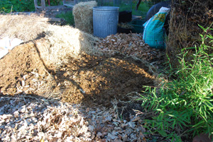 Add a 2-3” Green Layer…or in this Case, Brown (Horse Manure)