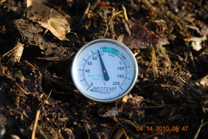 Compost Pile Temperature After First Turning