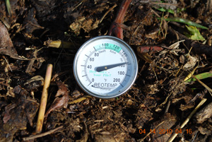 Compost Pile Temperature Before First Turning