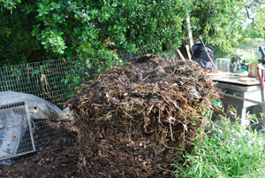 Compost Pile Second Turning