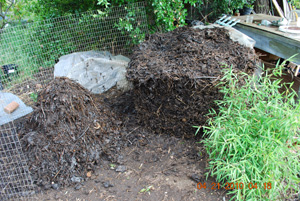 Compost Pile Sixth Turning