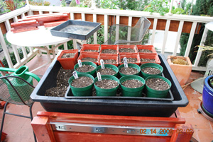 Seed Starting-Write out Plant Tags for Each Variety