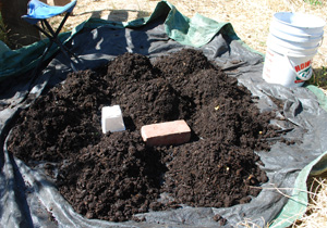 Separate Worm Castings into Several Small Mounds