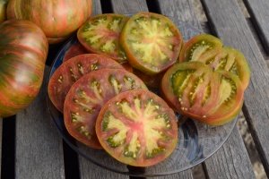 Beefsteak Tomato Varieties—'Pink Berkeley Tie Dye' consistently wins tomato tasting competitions