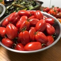 Paste (Sauce) Tomato Varieties—'San Marzano'